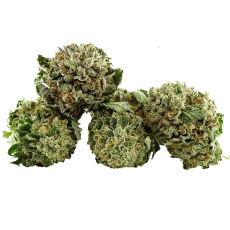 Three marijuana buds displayed on a white background. Buy cannabis.
