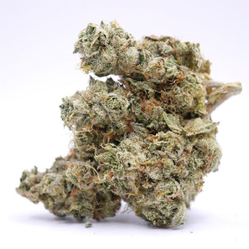 Image of marijuana bud against white backdrop, signifying cannabis in Canada.