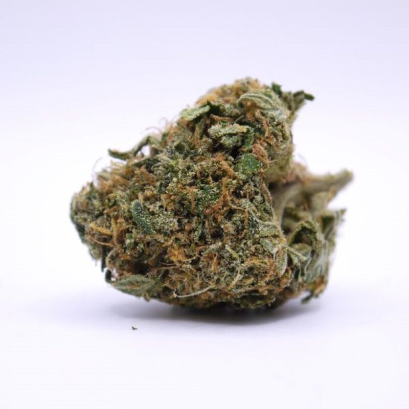 A close-up of a marijuana bud on a white background. Available at the Cannabis Store.