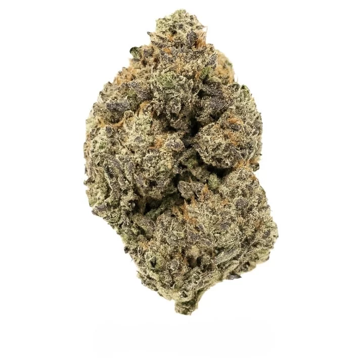 Bacio Gelato Smalls - AAA